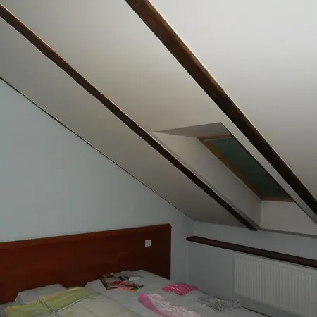 Hotel Andel Center Praag