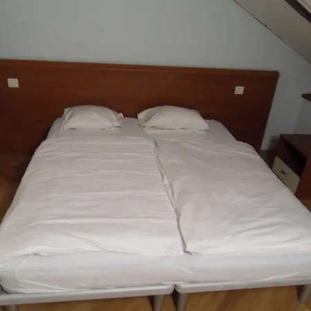 Hotel Andel Center Praag